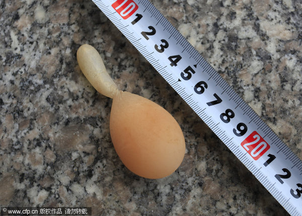 Deformed egg with bizarre tail