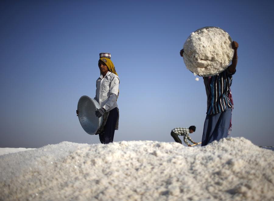 Laborers collect salt at salt pan in the western In