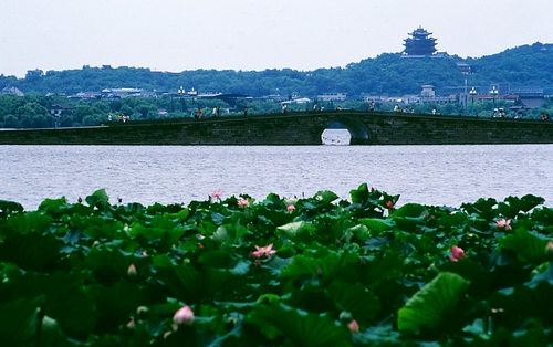 Living la dolce vita in Hangzhou