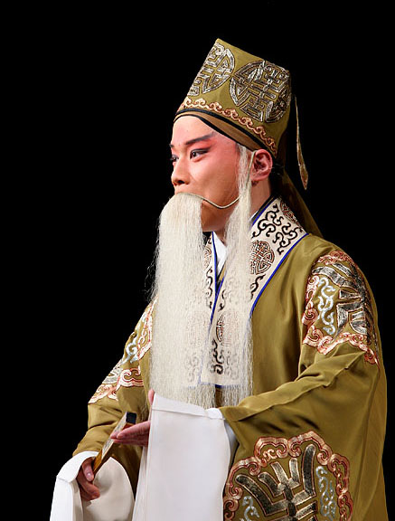 Roles in Peking Opera