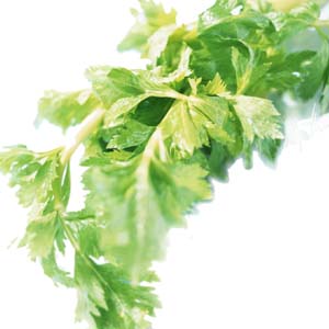 Add a little bitterness to your summer