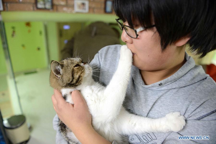 Cat-themed coffee bar opens in Harbin