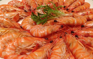 Zhanjiang seafood haven