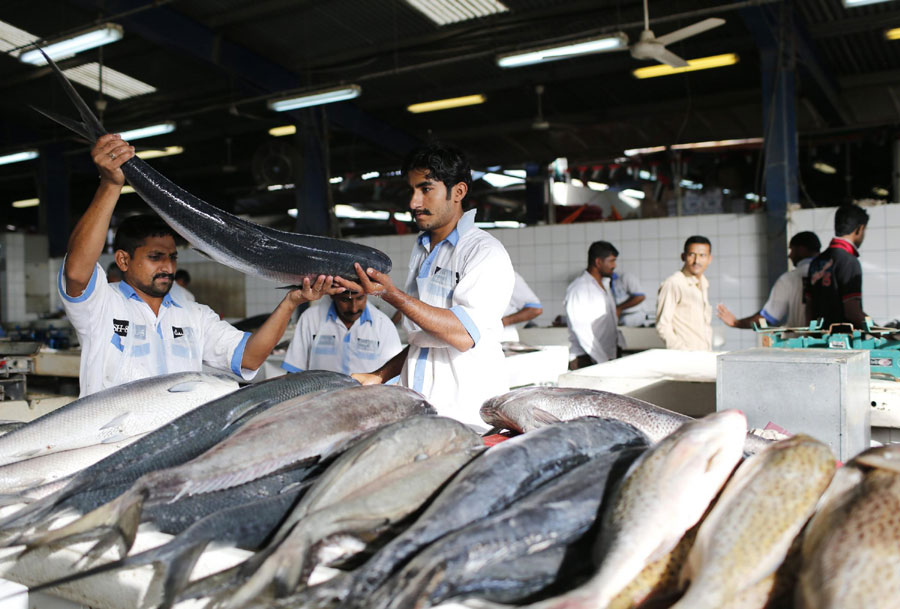 Fish market in Dubai