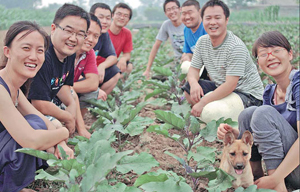 Qingdao eatery finds use for pesky seaweed