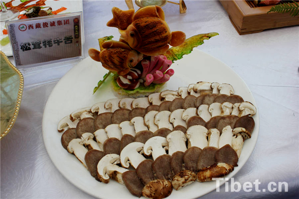 Experiencing matsutake delicacies in Tibet