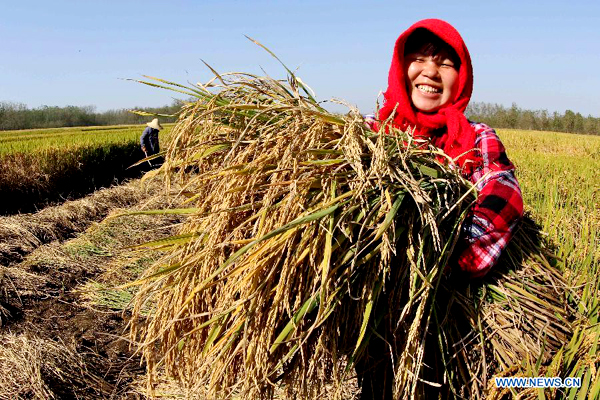 China greets harvest days for autumn crops