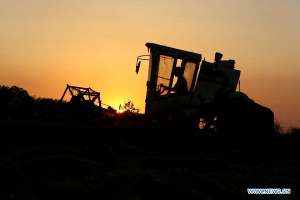 China greets harvest days for autumn crops