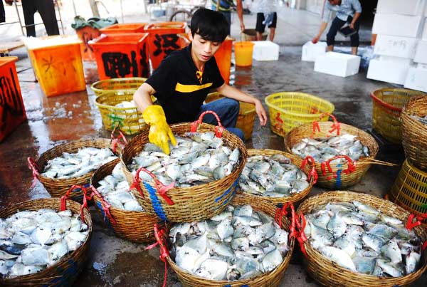 China's Hainan enters spring fishing season