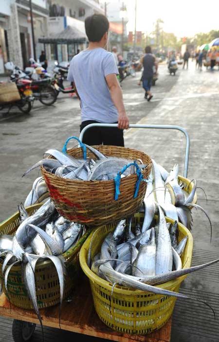 China's Hainan enters spring fishing season