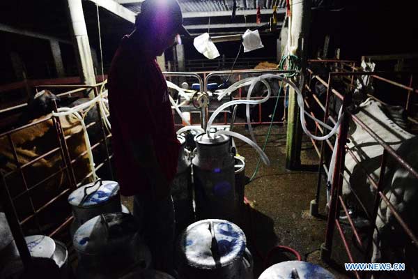 Milk industry in Panama
