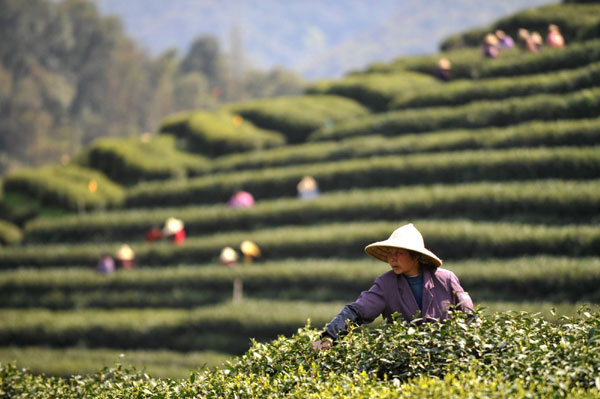 Legend Holdings invests in green tea company
