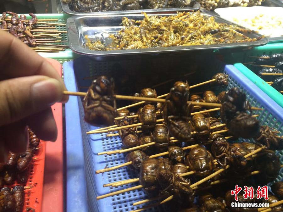 Insect dishes presented at food festival in SW China