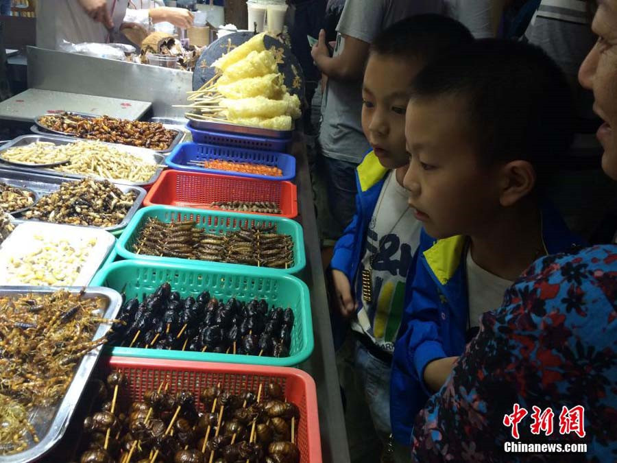 Insect dishes presented at food festival in SW China