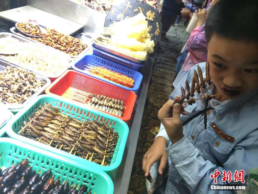 Insect dishes presented at food festival in SW China