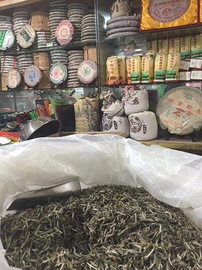 Tea tour gives expats a taste of China's fragrant brews