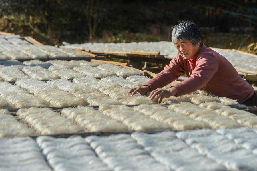 Fishermen air-dry delicacies in winter sunshine