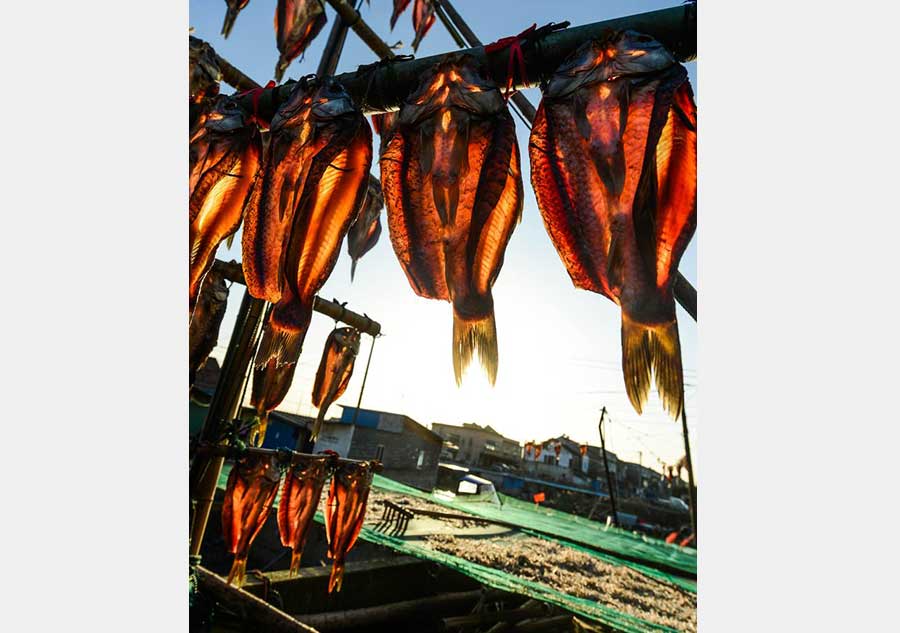 Fishermen air-dry delicacies in winter sunshine