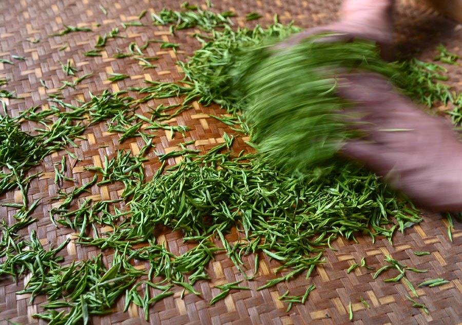 Tea making in C China's Hubei