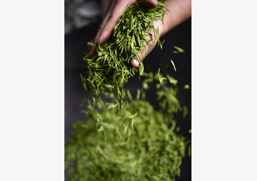 Tea making in C China's Hubei