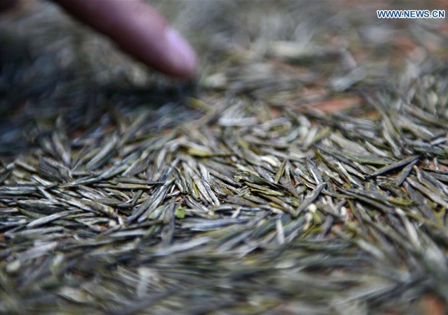 Tea making in C China's Hubei