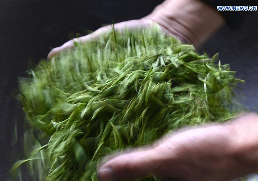 Tea making in C China's Hubei