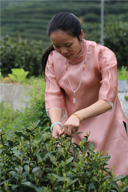 The 'gentleman' of Chinese teas