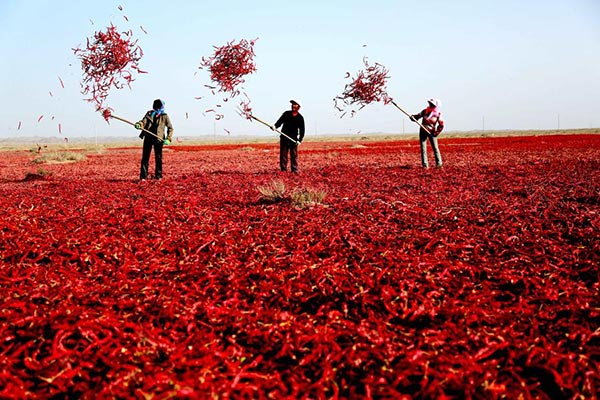 Where is the spiciest place in China?