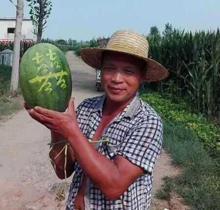 Farmer sells 3,000kg of carved watermelons in 11 days