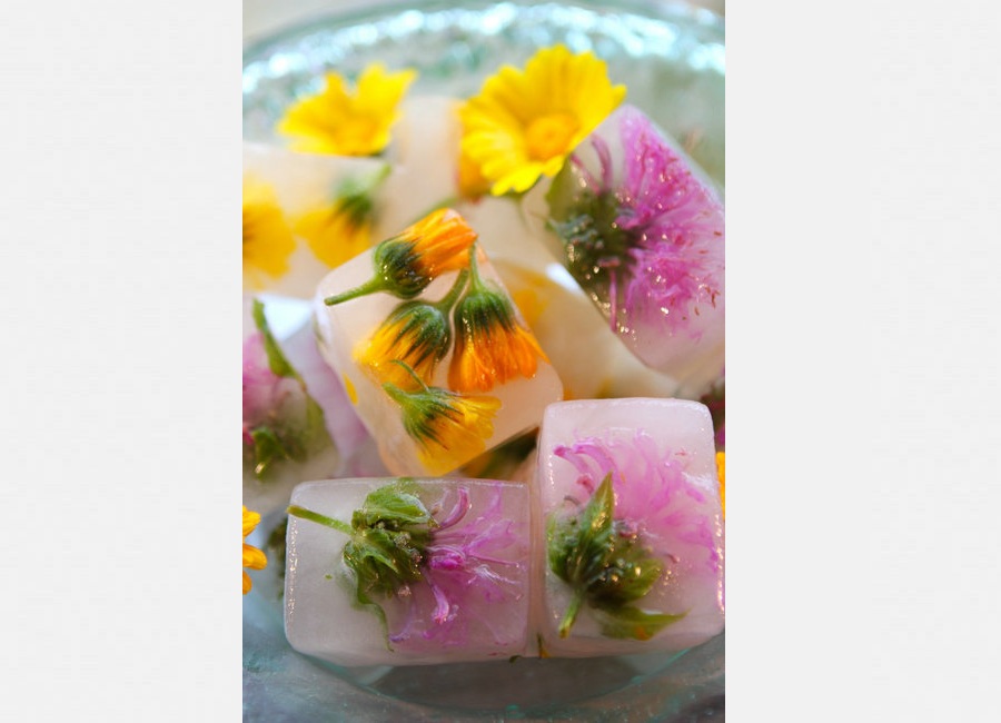 Stunning flower and fruit ice cools down scorching autumn