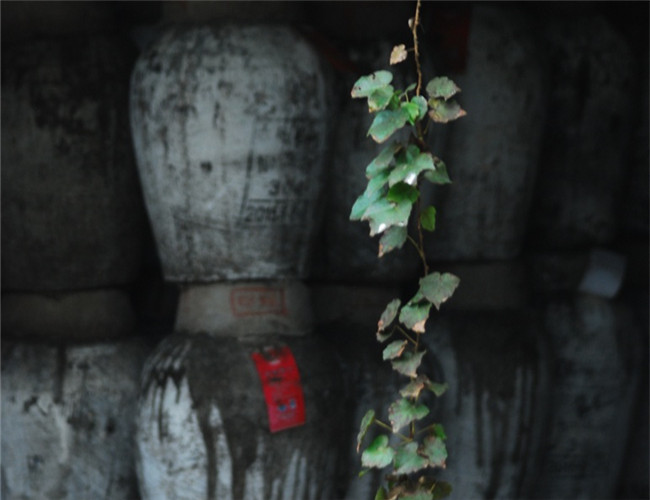 Shaoxing strives to rejuvenate rice wine's aging spirit