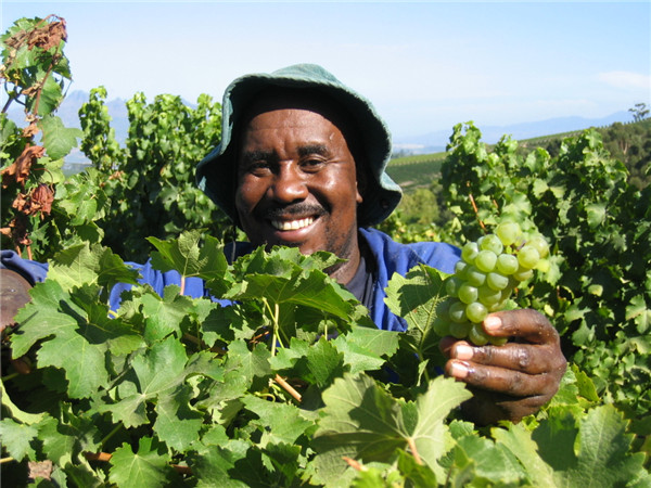 Food Insider: 10 things to know about South African wine