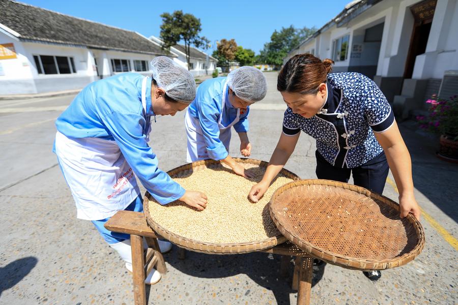 Intangible cultural heritage: Clear Noodles in Chili Sauce