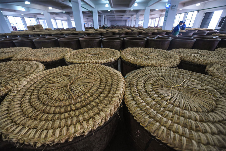 Rice wine brewing season in Shaoxing, China's Zhejiang