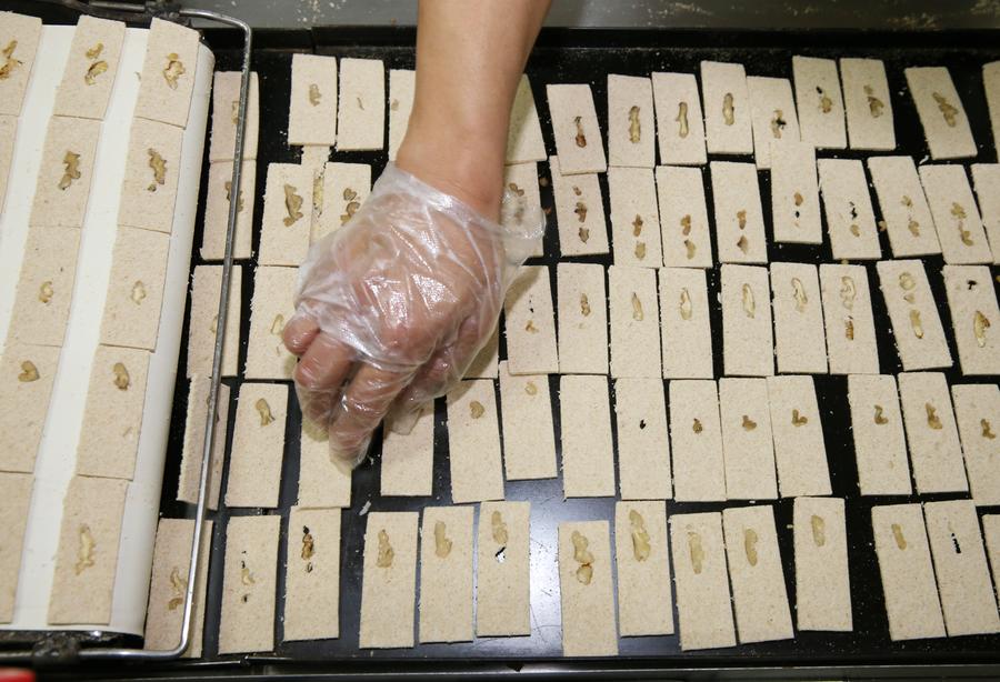 Cooks make traditional snacks in China's Jiangsu