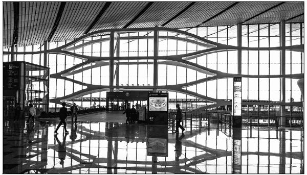 Daxing airport to create ample growth opportunities in nation, say airlines
