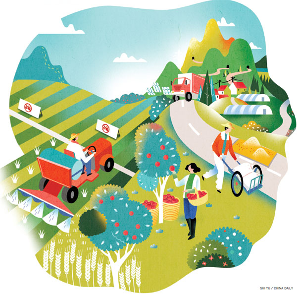 Rotating use of farmland will bring a harvest of new growth