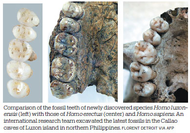 New human species shakes up family tree