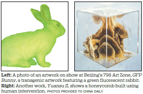 'Bio art' show offers a walk on the wild side