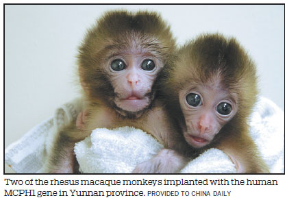 Primate genetic research approved