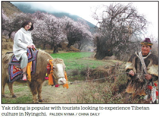 Nyingchi a nice way to get introduced to Tibet