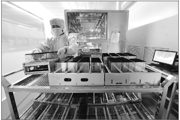 Foreign direct investment to maintain healthy momentum in first half of 2019