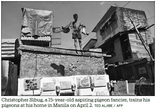 Philippines leads in long-distance pigeon racing