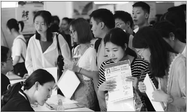 Information technology remains top career draw for graduates, says report
