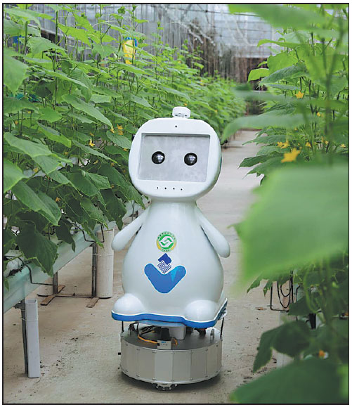 Farming robot makes its debut in Fujian