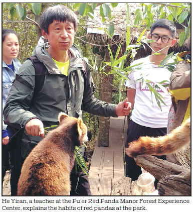 'Forest schools' help nature education branch out