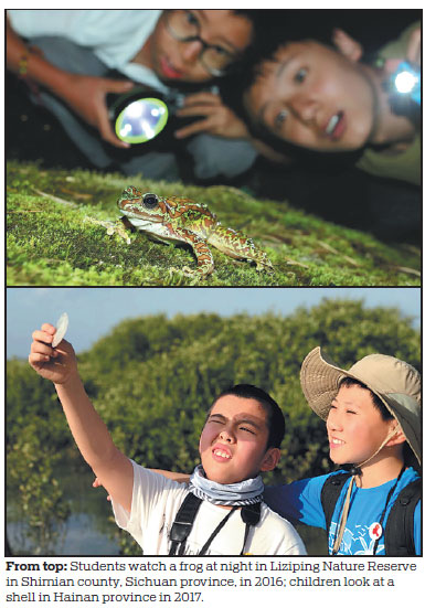 'Forest schools' help nature education branch out