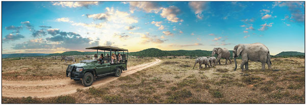 South Africa's natural appeal