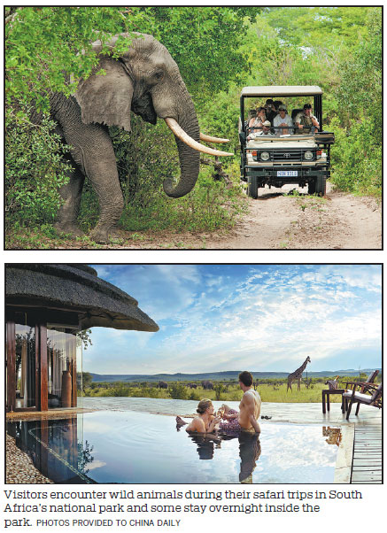 South Africa's natural appeal