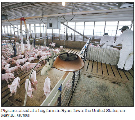 Hog farmers increasingly worried about prospects